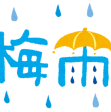 梅雨入りしました☔️