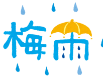 梅雨入りしました☔️